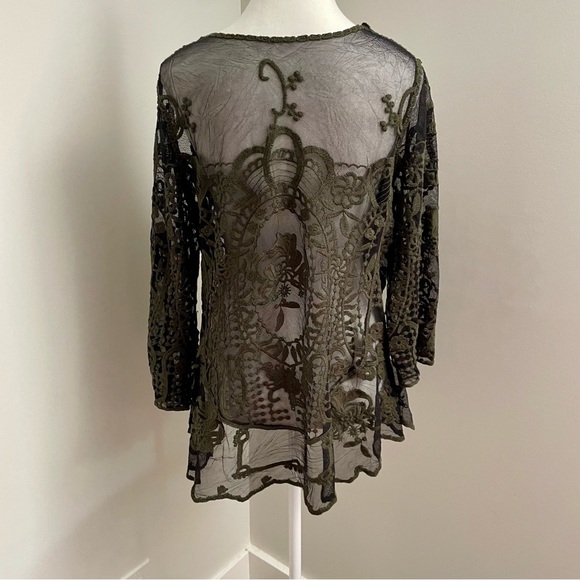 Sioni Milano Green Embroidered Sheer Mesh Long Sleeve Top Whimsigoth Fairy Large - Picture 3 of 4
